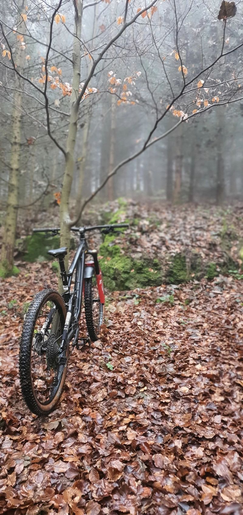 GT Force Elite