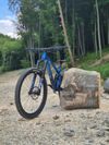 Pivot Switchblade L