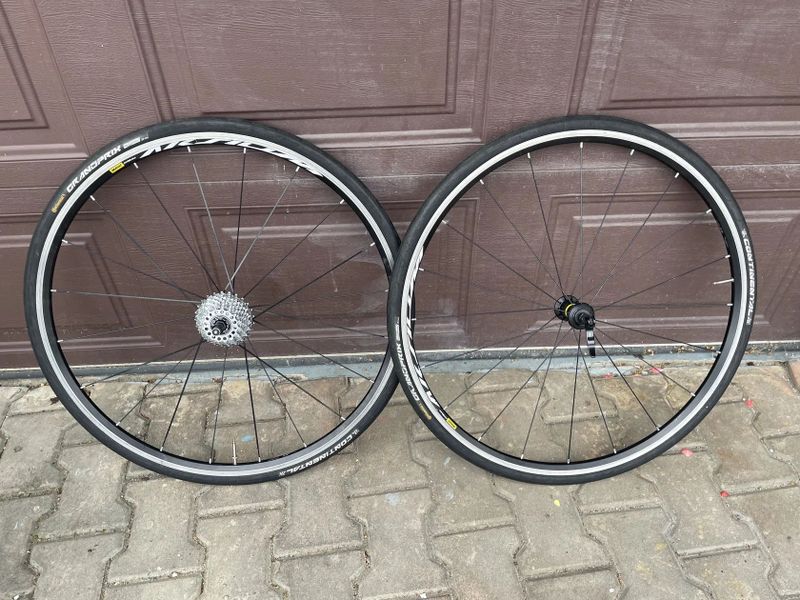 Pardus Robin sl