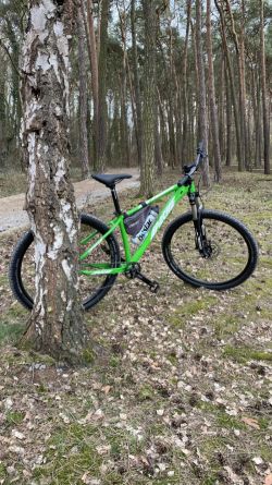 29" horské kolo Apache Tuwan A1, acid green, 2021