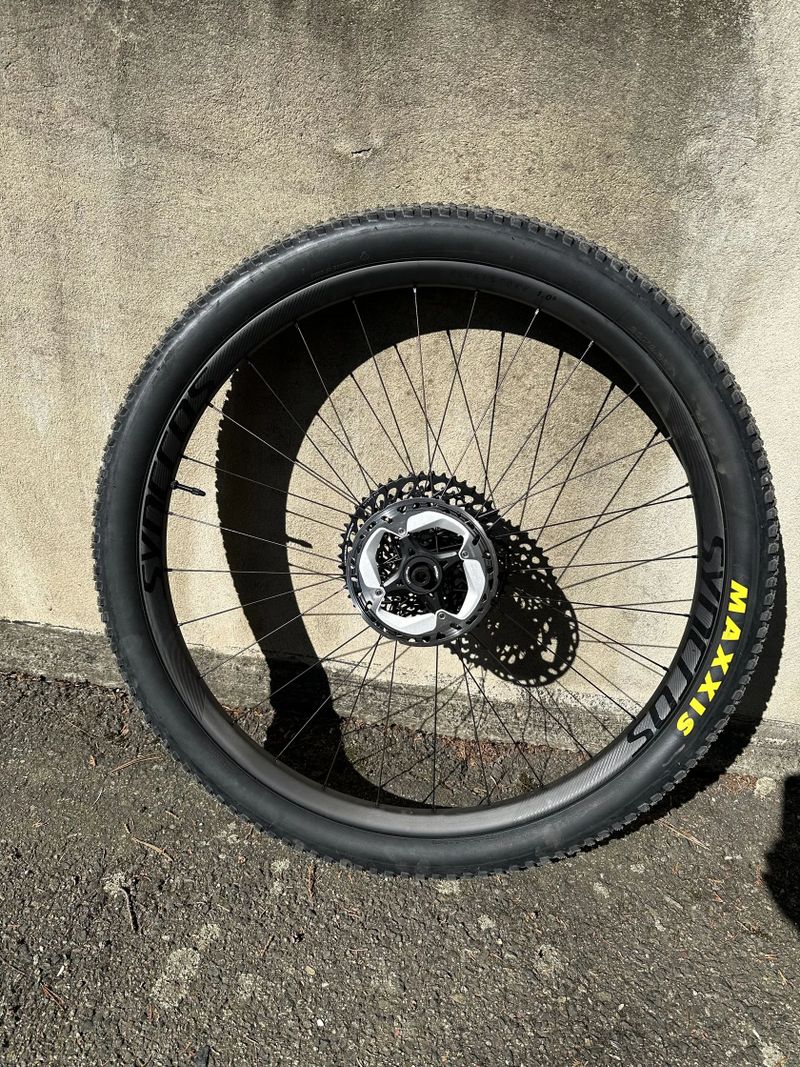 SYNCROS Revelstoke 1.0 S