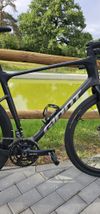 Giant Revolt Advance 2024 karbon L