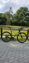 Giant Revolt Advance 2024 karbon L