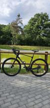 Giant Revolt Advance 2024 karbon L