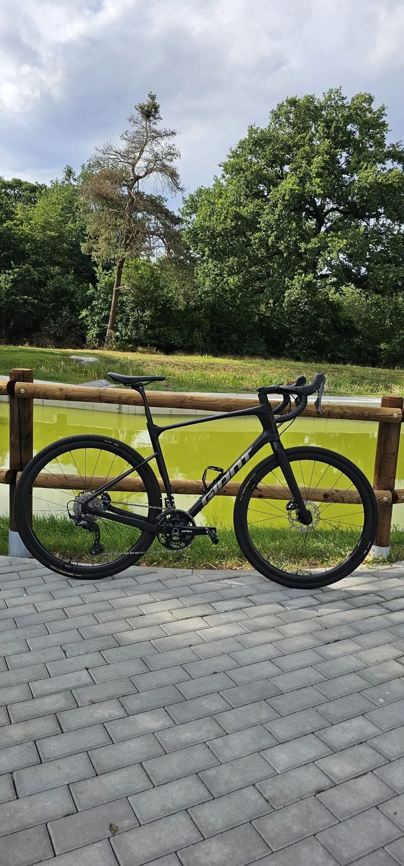 Giant Revolt Advance 2024 karbon L
