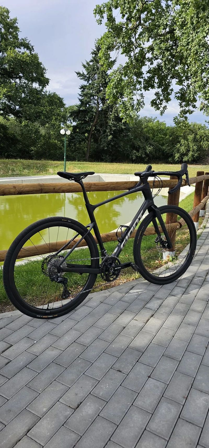 Giant Revolt Advance 2024 karbon L