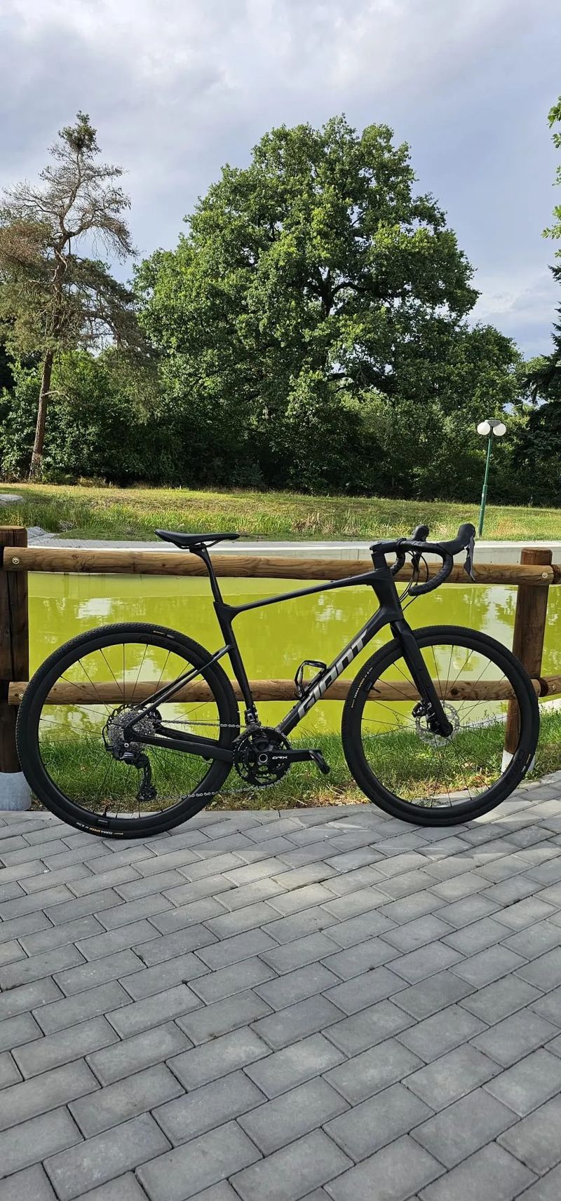 Giant Revolt Advance 2024 karbon L