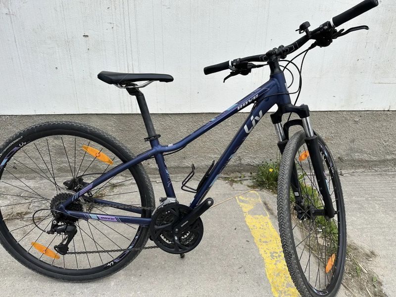 Liv Rove 2 Disc 2019 Dark Blue/Purple