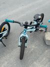Scott Contessa 16" a 14"