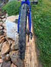 Core Nipper 24" - PĚKNE