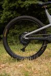 Propain Spindrift CF High End 29 
