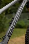 Propain Spindrift CF High End 29 