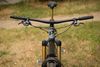 Propain Spindrift CF High End 29 