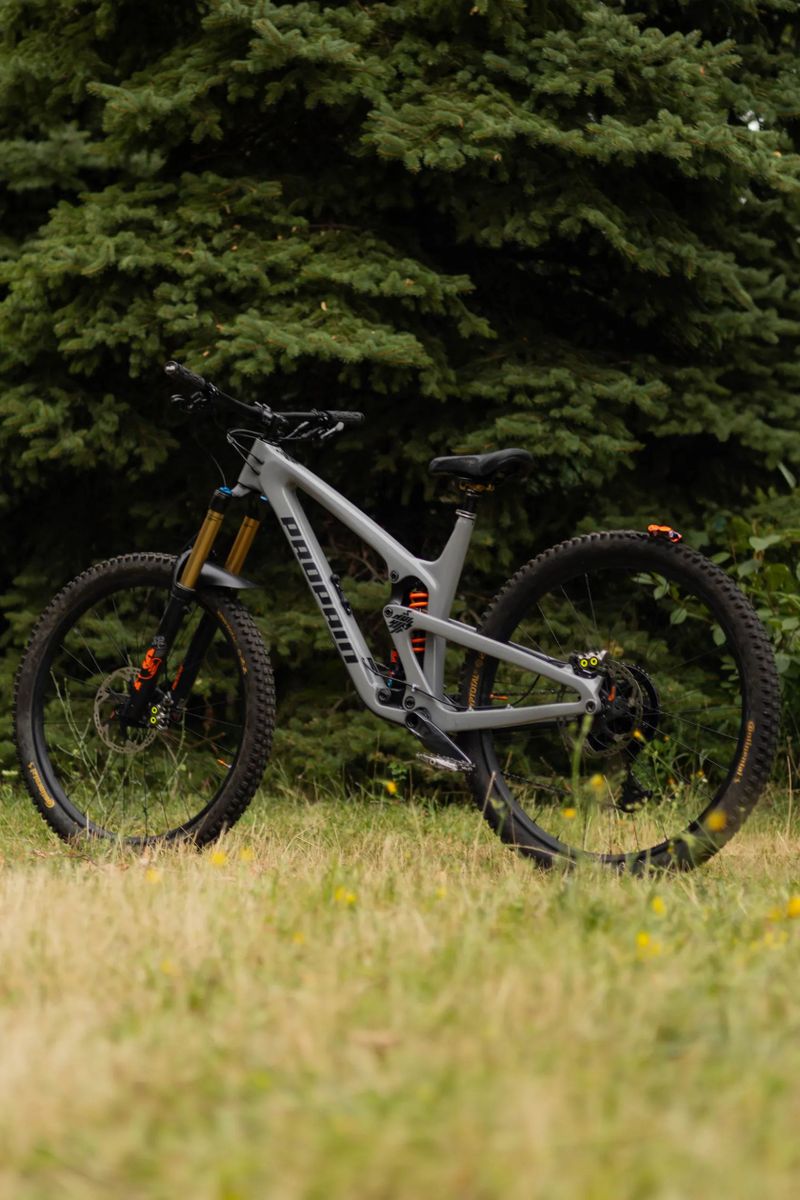 Propain Spindrift CF High End 29 