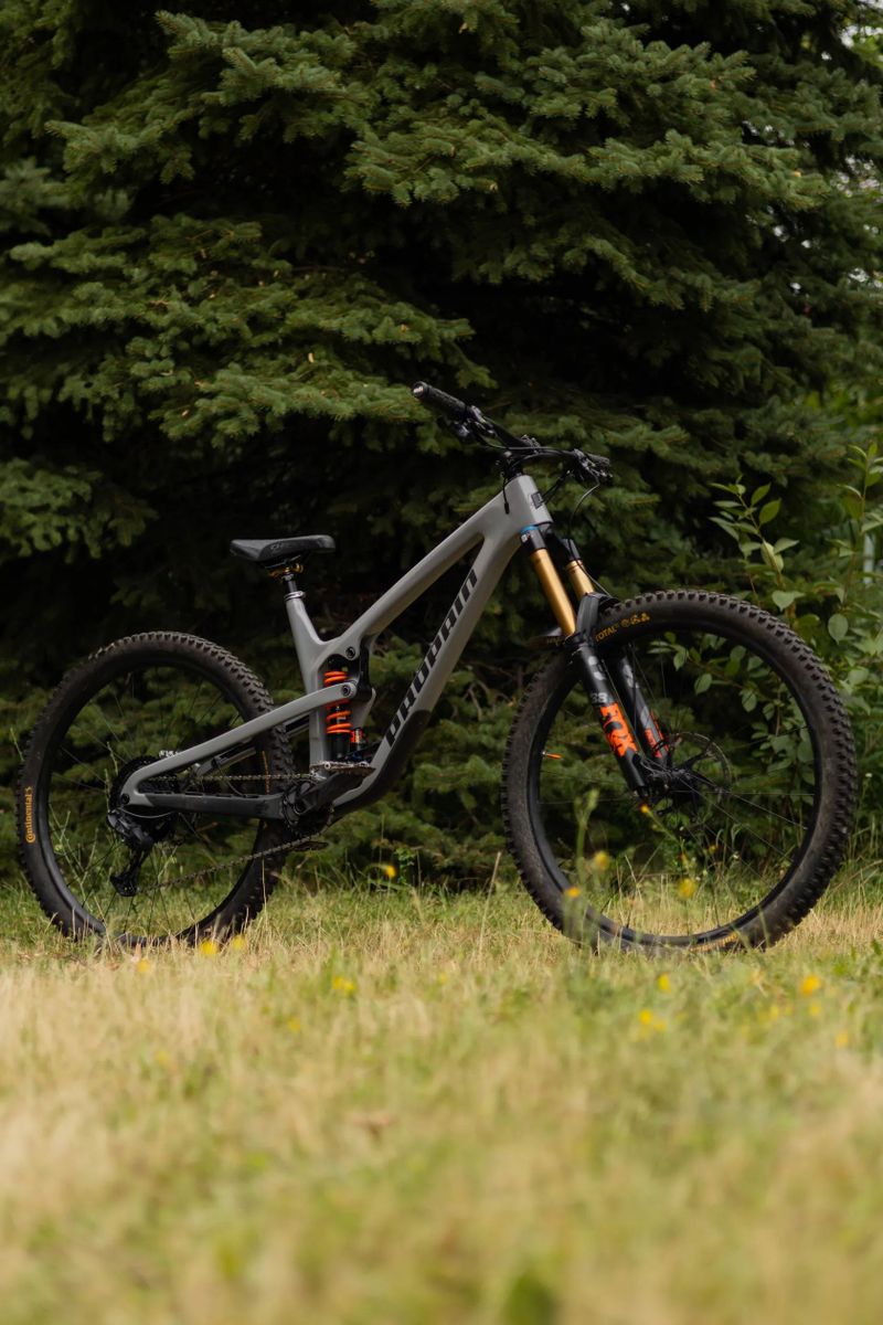 Propain Spindrift CF High End 29 