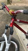 Dartmoor dirt mtb