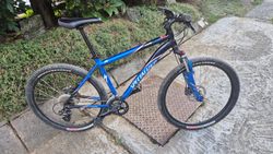 Specialized 17"