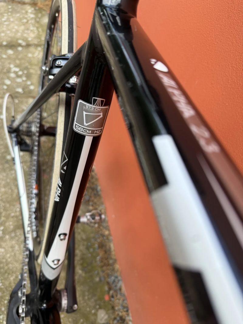 Trek Alpha 2.3