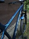 Trek Roscoe 8 2021