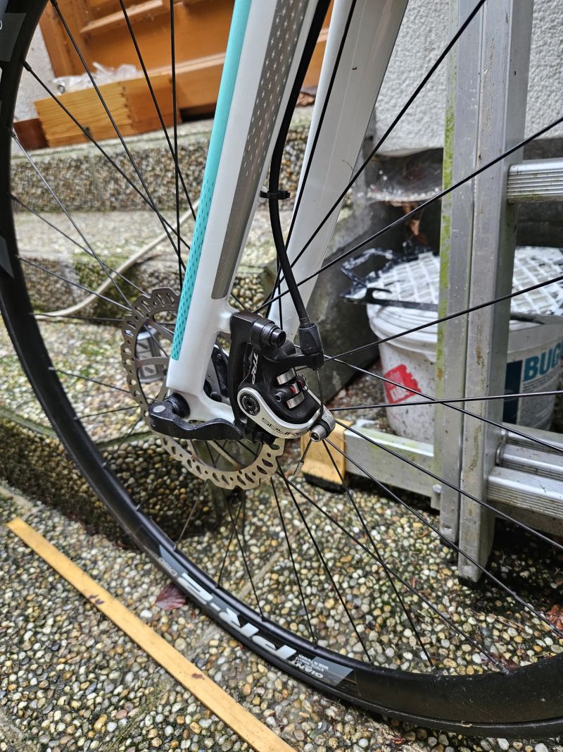 Prodam damske silnicni kolo Giant Liv