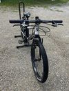 Rascal 20" 