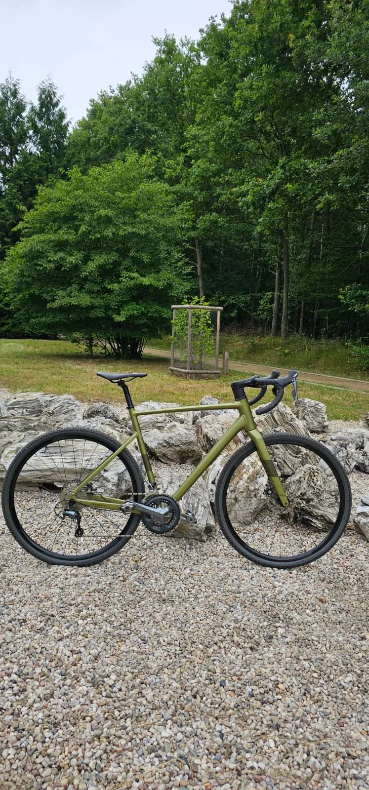 Gravelbike Scott Speedster Gravel 50 EQ 2024