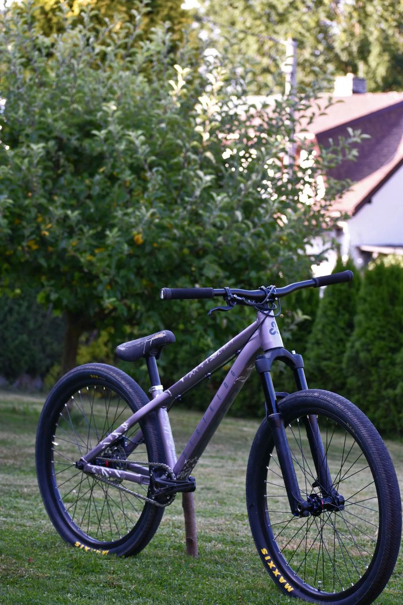 Ctm dirtking expert 2023