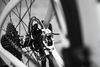 Pinarello Dogma F12, Sram Red AXS Etap 2x12, Zipp Firecrest 