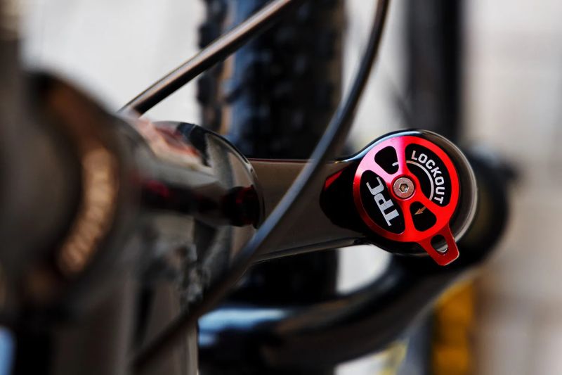MTB Pells RAZZER carbon Race D (XL)