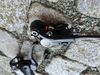 Shimano Deore M 615 přední hydraulická brzda-komplet