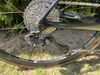 Giant TCR advanced Pro 0