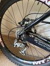Kona Stinky Garbanzo