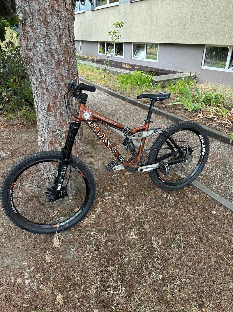 Kona Stinky Garbanzo