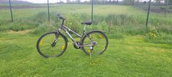 Wheeler Cross 36