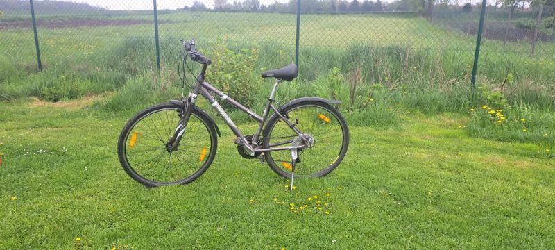 Wheeler Cross 36