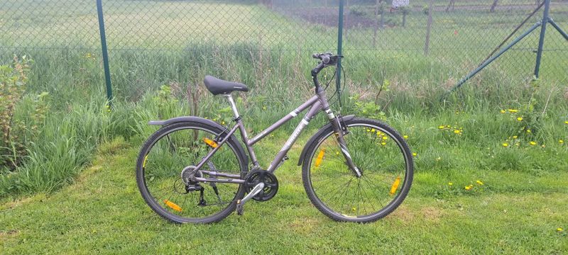 Wheeler Cross 36