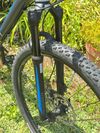 Specialized Rockhopper Comp 29 