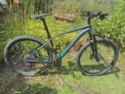 Specialized Rockhopper Comp 29 