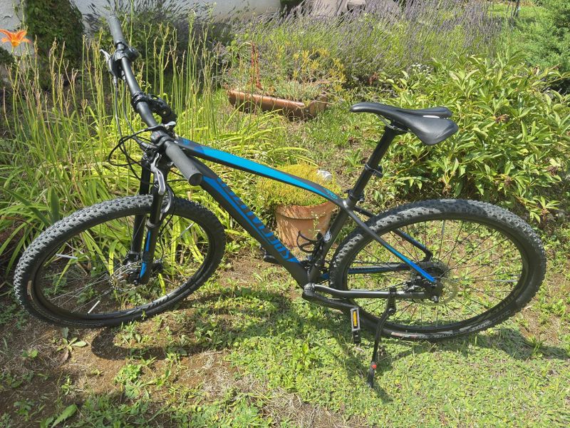 Specialized Rockhopper Comp 29 