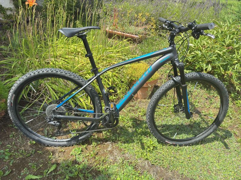 Specialized Rockhopper Comp 29 