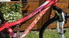 Dětské dívčí horské kolo 24" Kellys Kiter50 7-12let postava 120-150cm minimálně použité.
