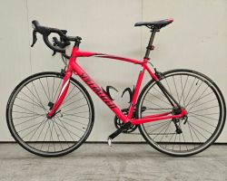 Silniční kolo Specialized Allez Comp - spolehlivé a rychlé