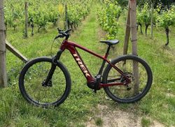 Trek Powerfly 7 Gen 4