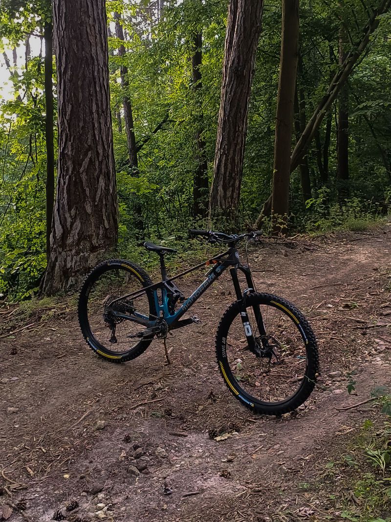 Mondraker foxy RR 2022
