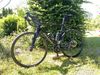 Basso Venta 105 disc vel.56