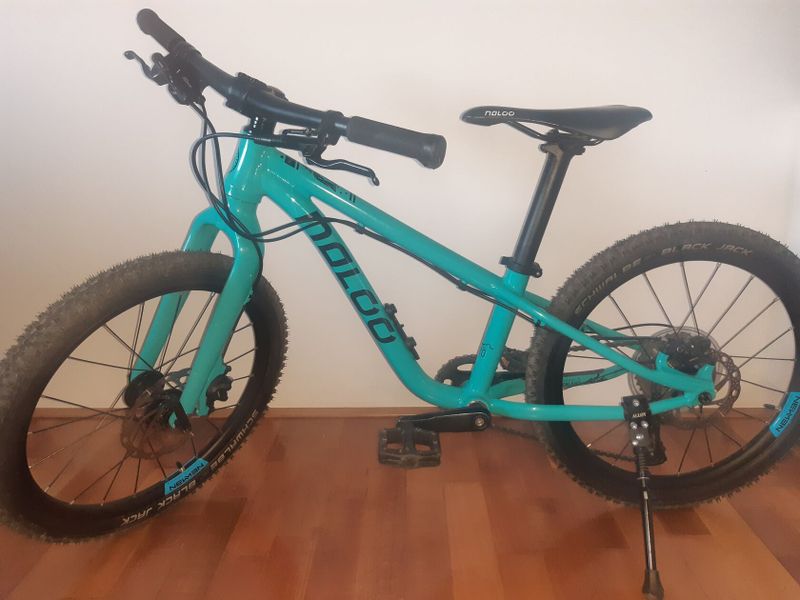 Naloo Hill Bill 20"
