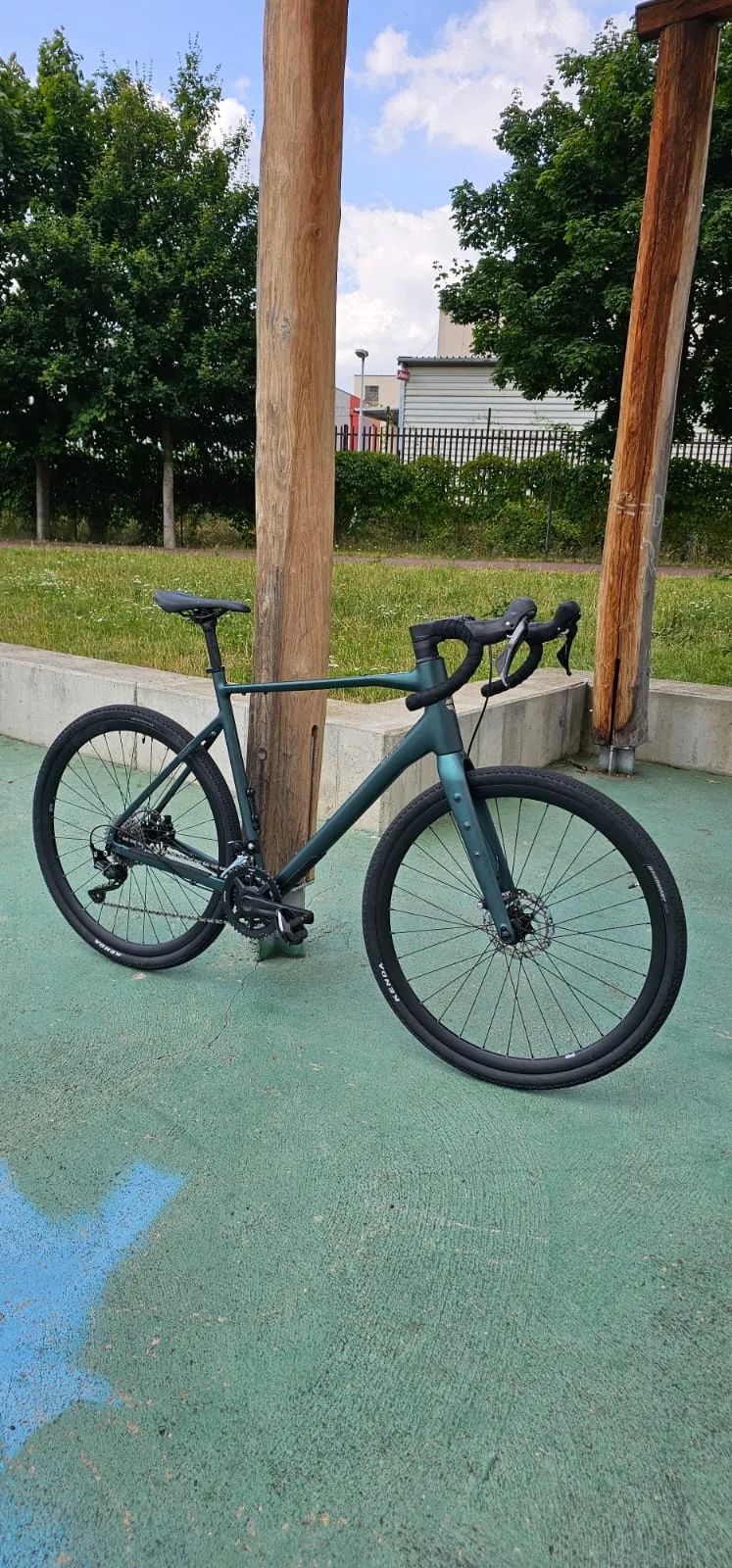 Carver Gravel 230 L-XL-53 cm