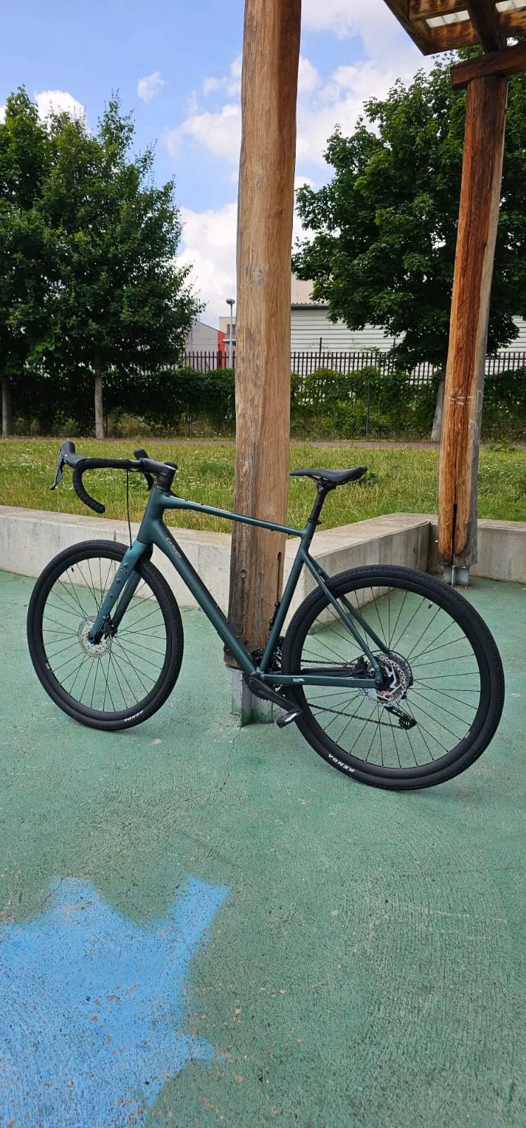 Carver Gravel 230 L-XL-53 cm