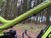 Trek Remedy