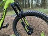 Trek Remedy